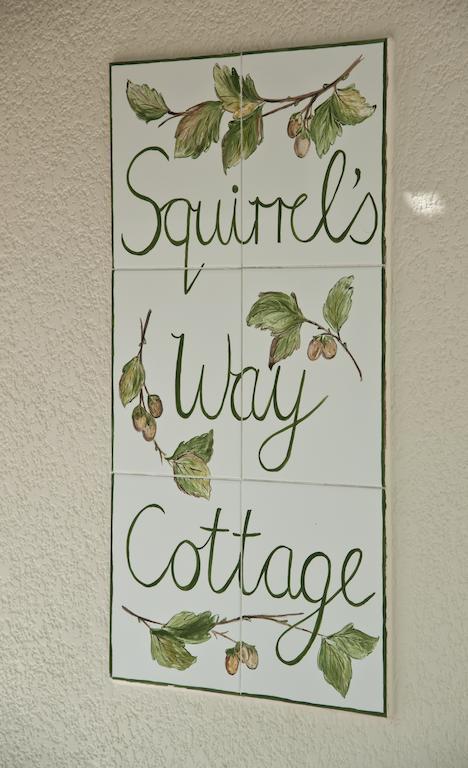Squirrels Way Cottages Fokváros Kültér fotó